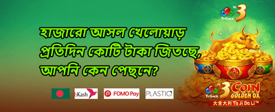 ডেইলি ফ্রি স্পিন অফার